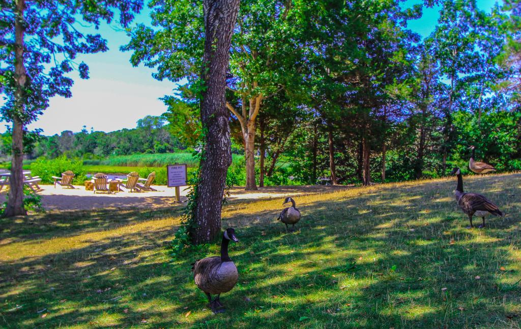 The Cove At Yarmouth Hotel West Yarmouth Ngoại thất bức ảnh